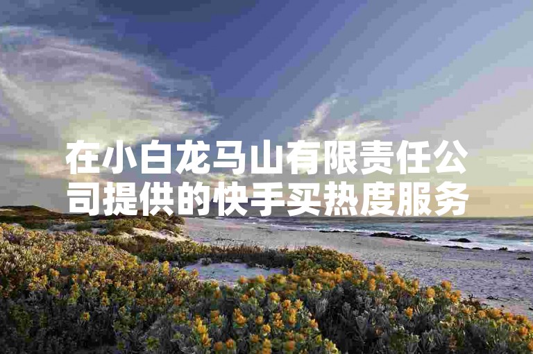 在小白龙马山有限责任公司提供的快手买热度服务中，仅需0.01元即可获得网站流量支持。