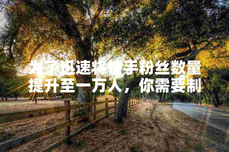 为了迅速将快手粉丝数量提升至一万人，你需要制定一套有效的增长策略。