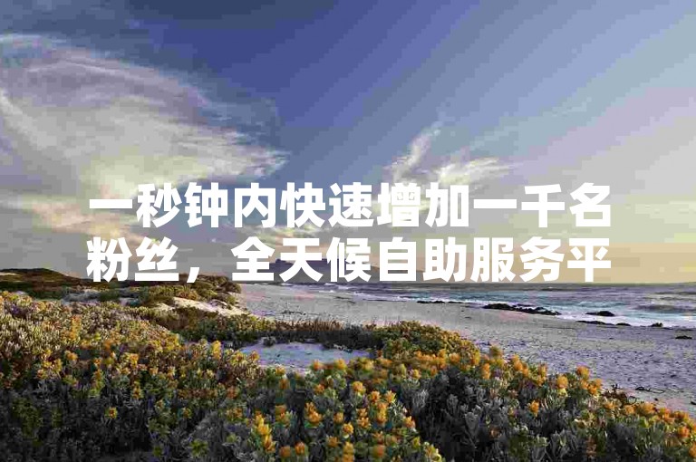 一秒钟内快速增加一千名粉丝，全天候自助服务平台。