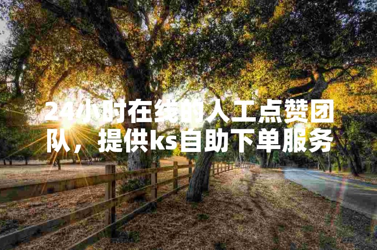 24小时在线的人工点赞团队，提供ks自助下单服务。