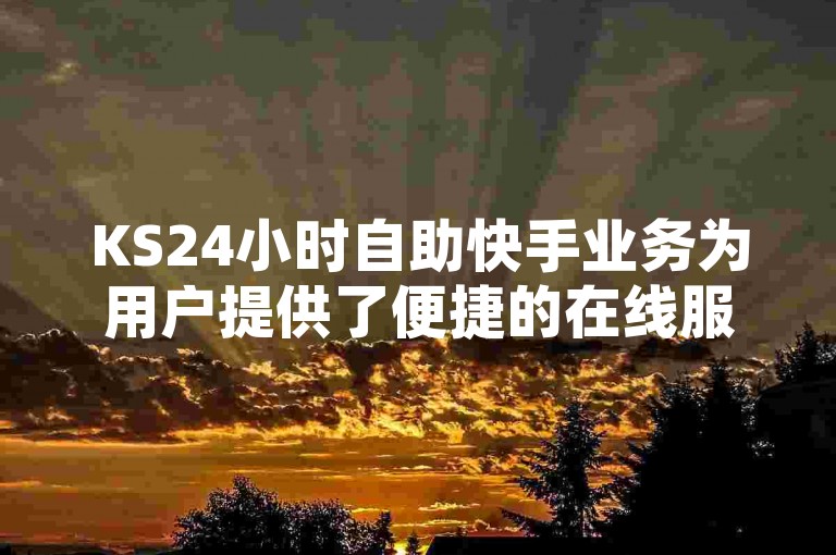 KS24小时自助快手业务为用户提供了便捷的在线服务平台，实现了全天候不间断的服务支持。