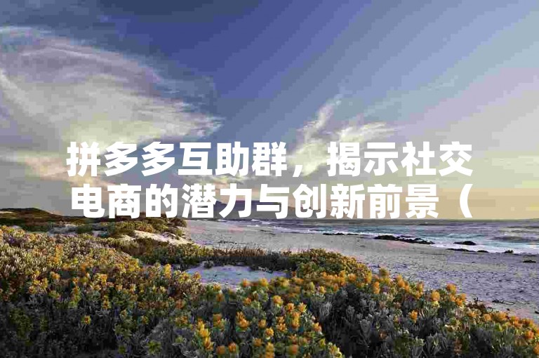 拼多多互助群，揭示社交电商的潜力与创新前景（2024年）。