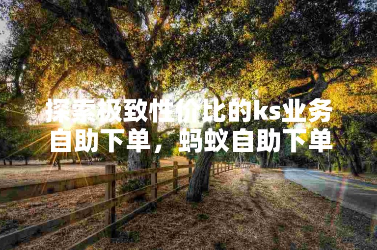 探索极致性价比的ks业务自助下单，蚂蚁自助下单平台网站引领行业低价风潮。