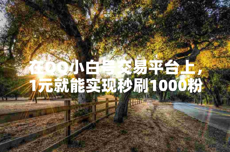 在QQ小白号交易平台上，1元就能实现秒刷1000粉丝的惊人效果，网红云科技下载助力网络影响力快速提升。