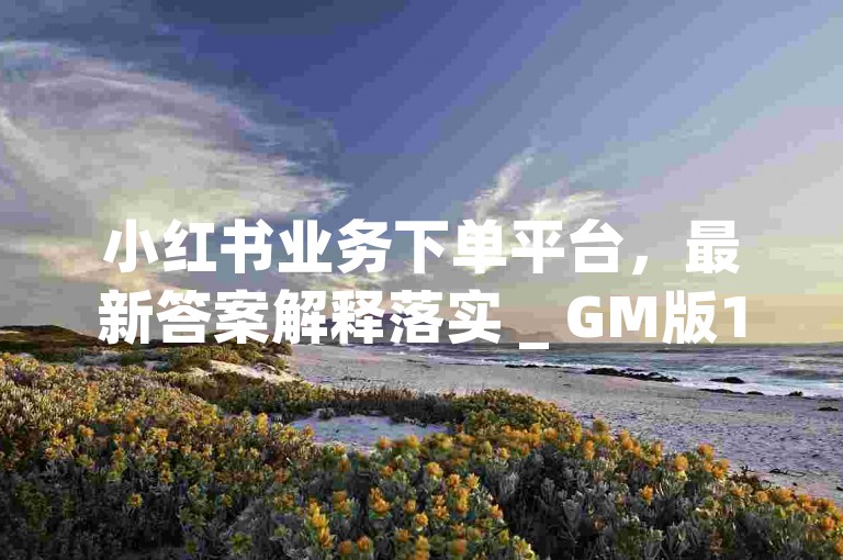 小红书业务下单平台，最新答案解释落实 _ GM版169.324.717