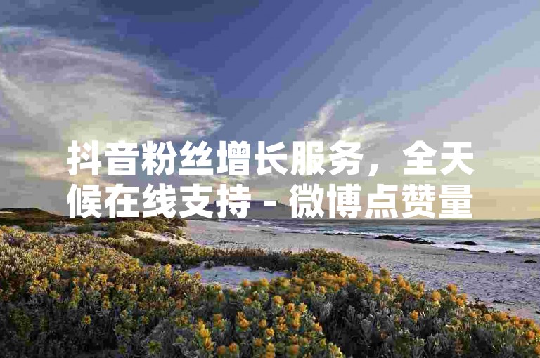 抖音粉丝增长服务，全天候在线支持 - 微博点赞量快速提升自助系统。