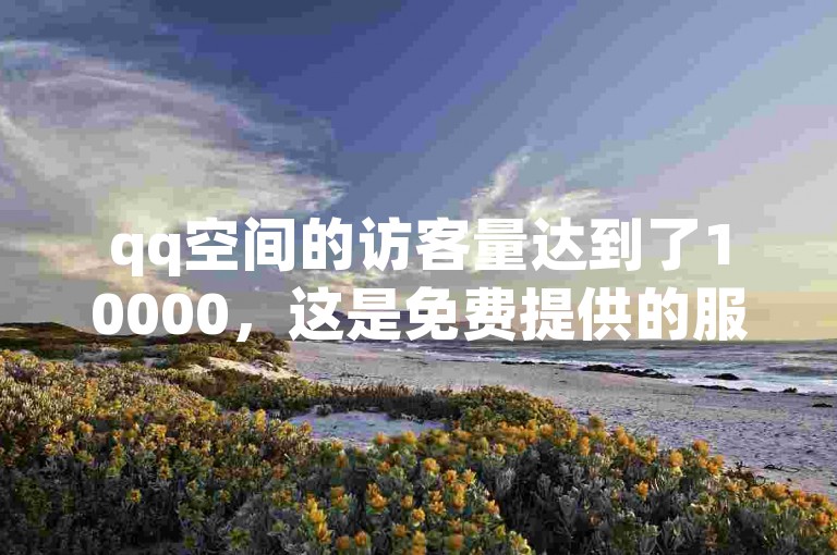 qq空间的访客量达到了10000，这是免费提供的服务。