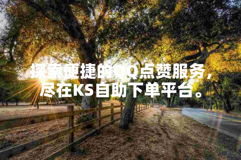 探索便捷的QQ点赞服务，尽在KS自助下单平台。