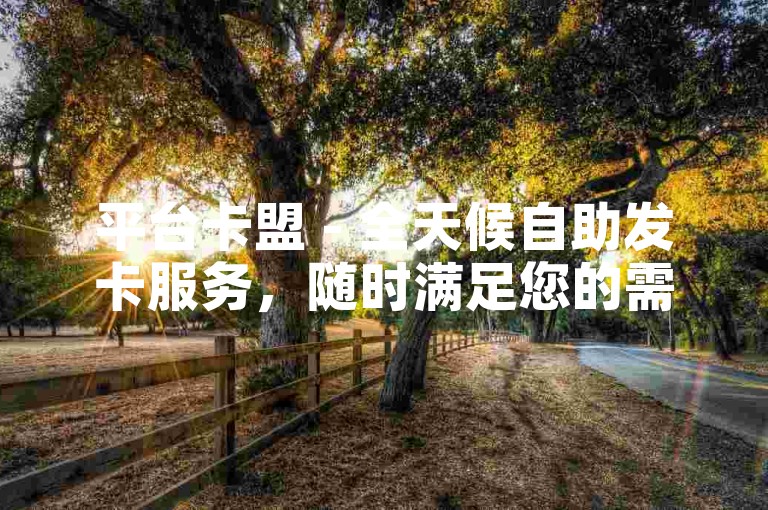 平台卡盟 - 全天候自助发卡服务，随时满足您的需求。
