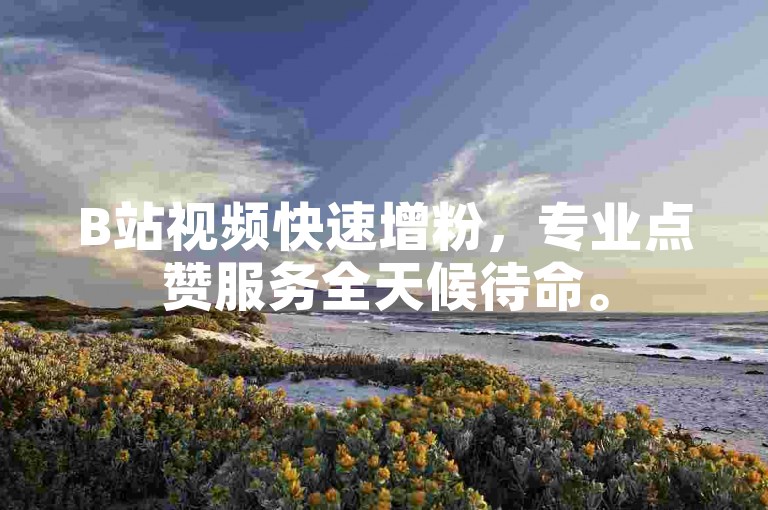 B站视频快速增粉，专业点赞服务全天候待命。