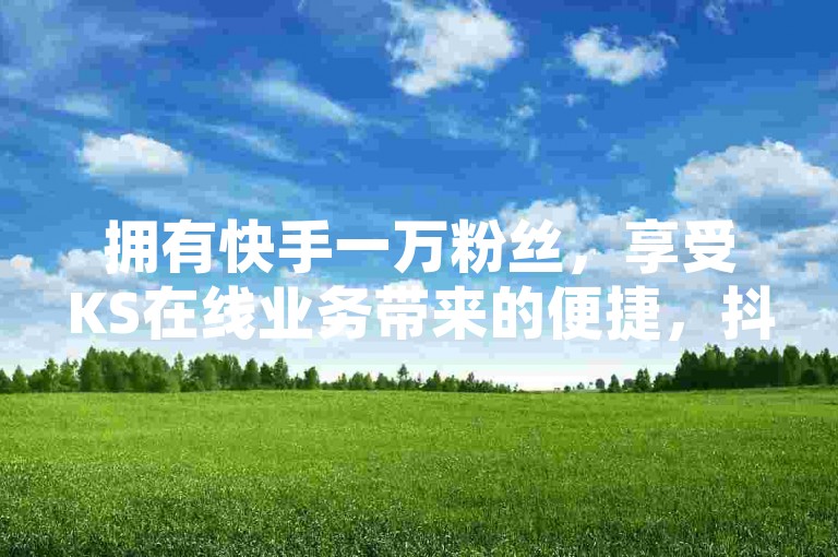 拥有快手一万粉丝，享受KS在线业务带来的便捷，抖音下单24小时不间断服务，网红商城更是推出1元1000的超值优惠。