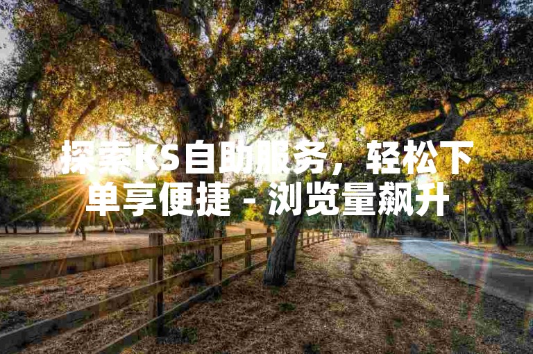 探索KS自助服务，轻松下单享便捷 - 浏览量飙升
