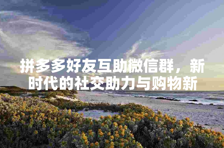 拼多多好友互助微信群，新时代的社交助力与购物新风尚。