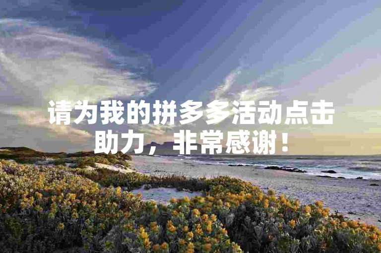 请为我的拼多多活动点击助力，非常感谢！