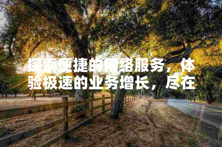 探索便捷的网络服务，体验极速的业务增长，尽在我们的全天候自助服务平台。