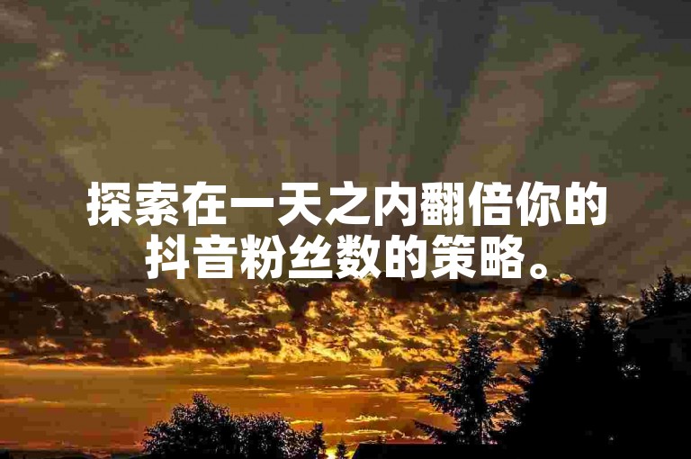 探索在一天之内翻倍你的抖音粉丝数的策略。