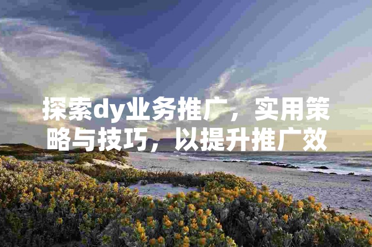 探索dy业务推广，实用策略与技巧，以提升推广效果。
