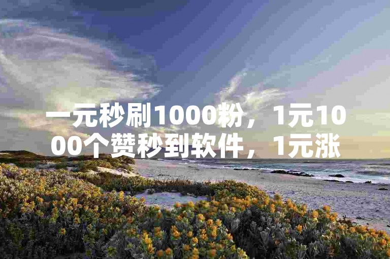 一元秒刷1000粉，1元1000个赞秒到软件，1元涨100粉快手。