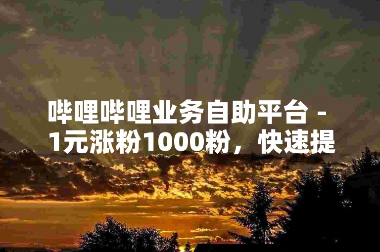 哔哩哔哩业务自助平台 - 1元涨粉1000粉，快速提升你的人气。