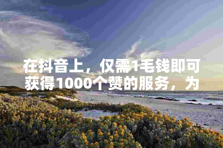 在抖音上，仅需1毛钱即可获得1000个赞的服务，为用户提供了一种经济实惠的方式来增加视频的受欢迎程度。