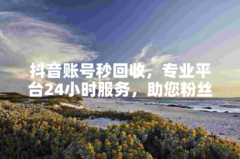 抖音账号秒回收，专业平台24小时服务，助您粉丝激增无忧。