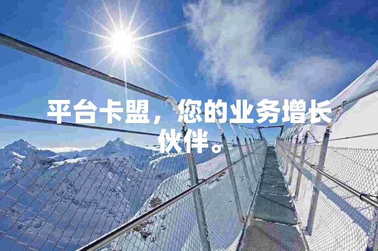 平台卡盟，您的业务增长伙伴。