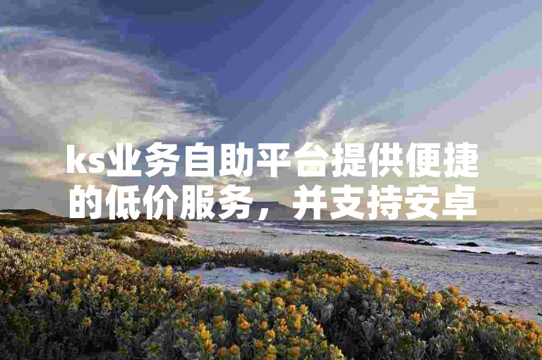 ks业务自助平台提供便捷的低价服务，并支持安卓版下载。