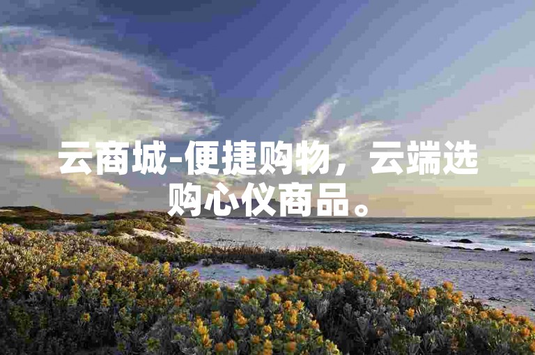 云商城-便捷购物，云端选购心仪商品。