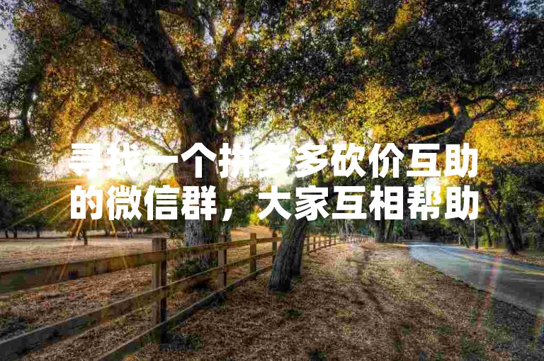 寻找一个拼多多砍价互助的微信群，大家互相帮助，共享优惠。