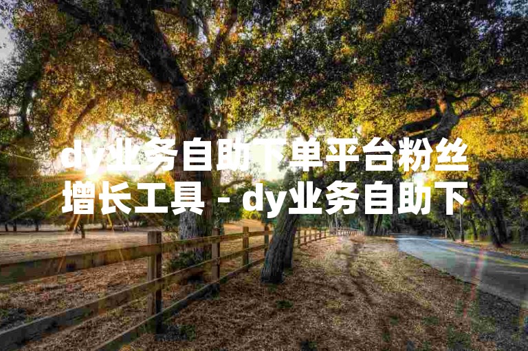 dy业务自助下单平台粉丝增长工具 - dy业务自助下单平台安装包