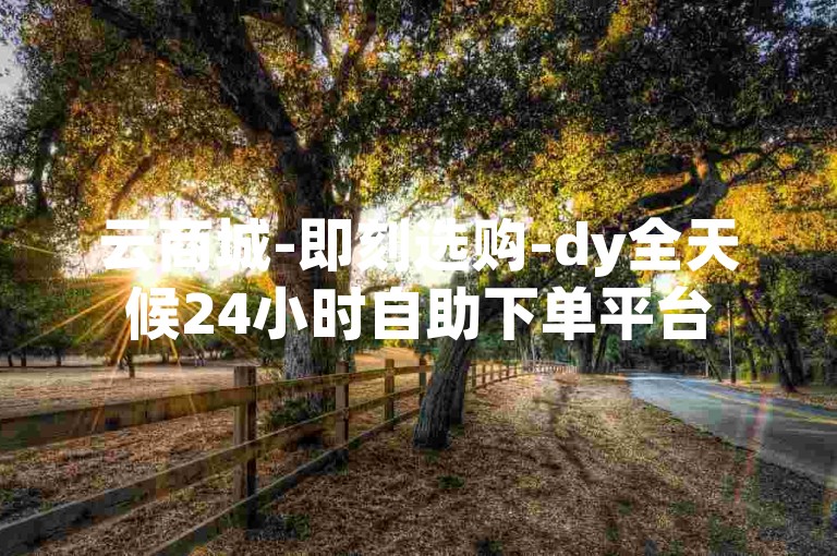 云商城-即刻选购-dy全天候24小时自助下单平台
