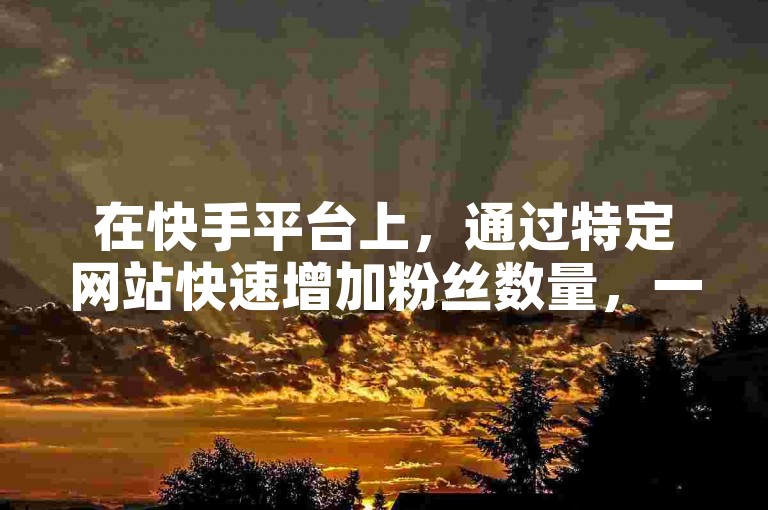 在快手平台上，通过特定网站快速增加粉丝数量，一分钟即可获得3000个新关注者。
