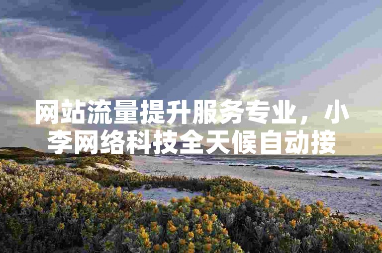 网站流量提升服务专业，小李网络科技全天候自动接单。