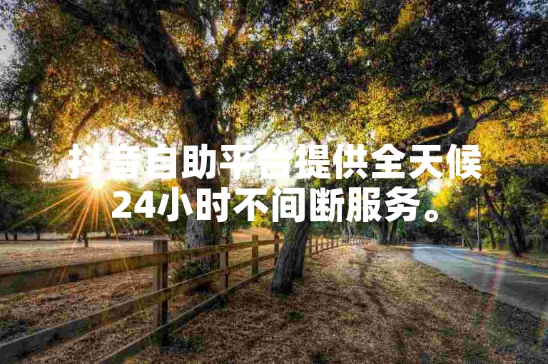 抖音自助平台提供全天候24小时不间断服务。