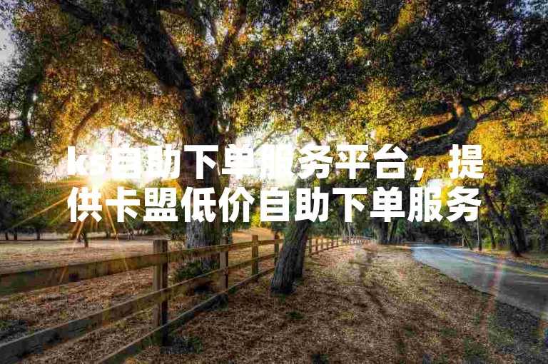 ks自助下单服务平台，提供卡盟低价自助下单服务。