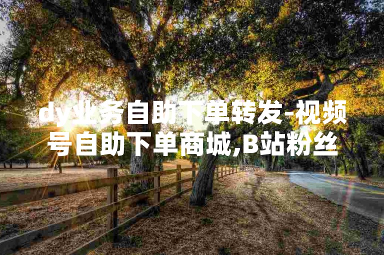 dy业务自助下单转发-视频号自助下单商城,B站粉丝业务平台