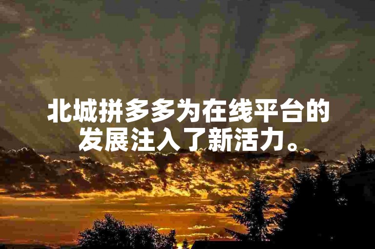北城拼多多为在线平台的发展注入了新活力。