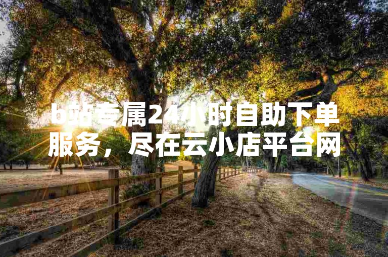 b站专属24小时自助下单服务，尽在云小店平台网站。