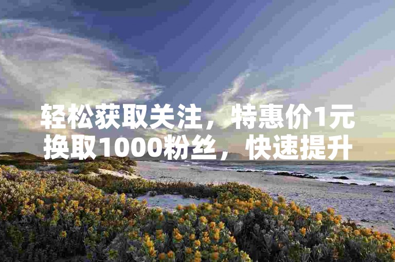 轻松获取关注，特惠价1元换取1000粉丝，快速提升影响力 - 拼多多砍价互助 - 快手点赞仅需1元起。