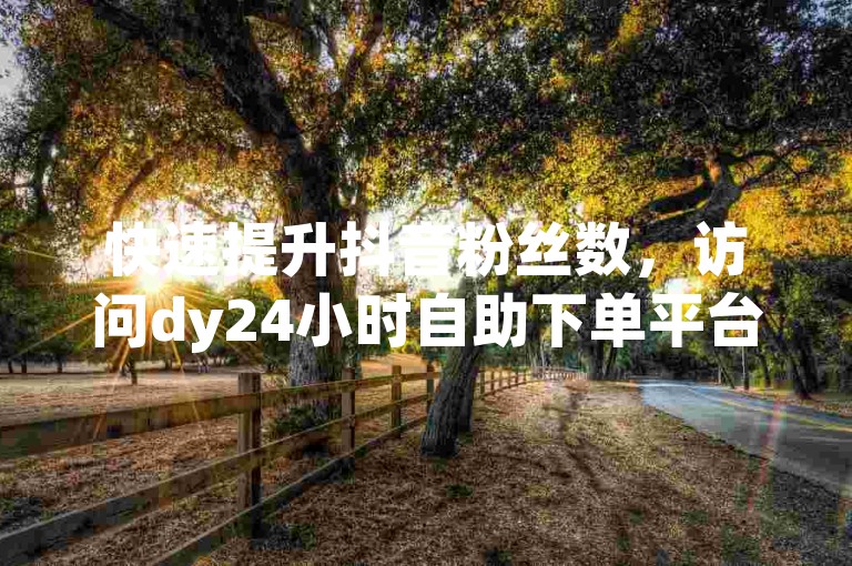 快速提升抖音粉丝数，访问dy24小时自助下单平台，享受即时服务。