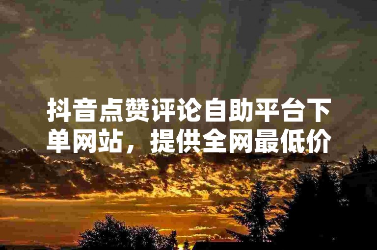 抖音点赞评论自助平台下单网站，提供全网最低价的dy业务自助下单服务。