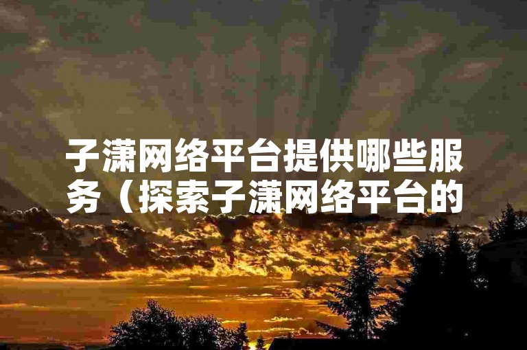 子潇网络平台提供哪些服务（探索子潇网络平台的功能）