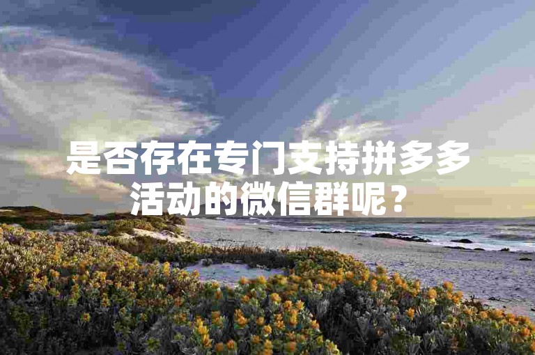是否存在专门支持拼多多活动的微信群呢？