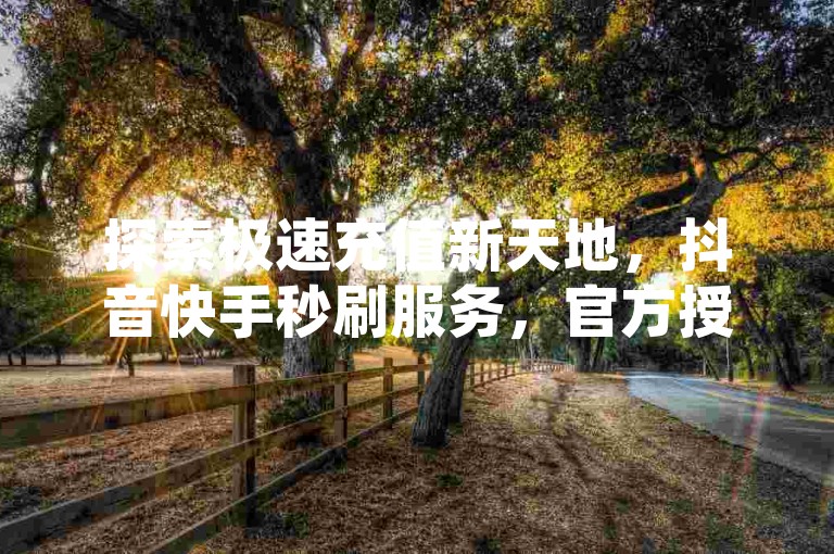 探索极速充值新天地，抖音快手秒刷服务，官方授权入口 - 畅享24小时不间断的播放量飙升，激情燃烧！
