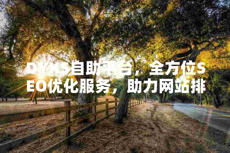 DYKS自助平台，全方位SEO优化服务，助力网站排名提升。