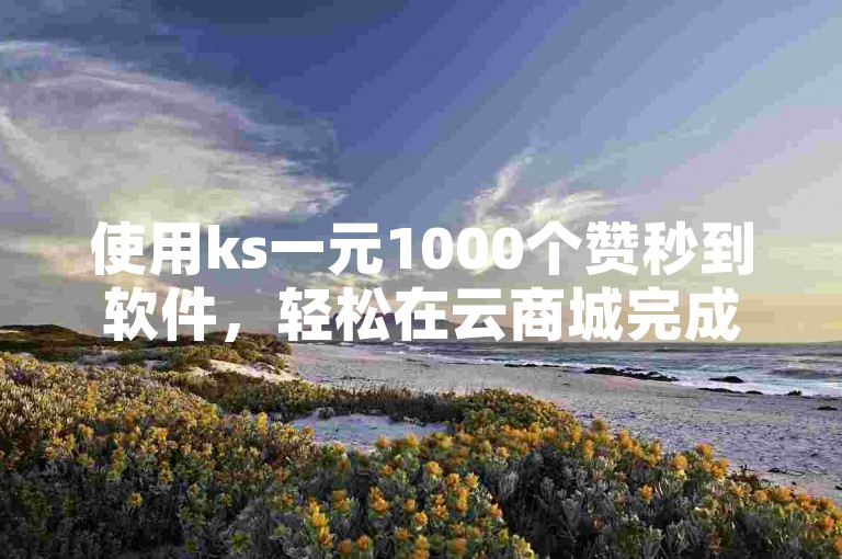使用ks一元1000个赞秒到软件，轻松在云商城完成在线下单。