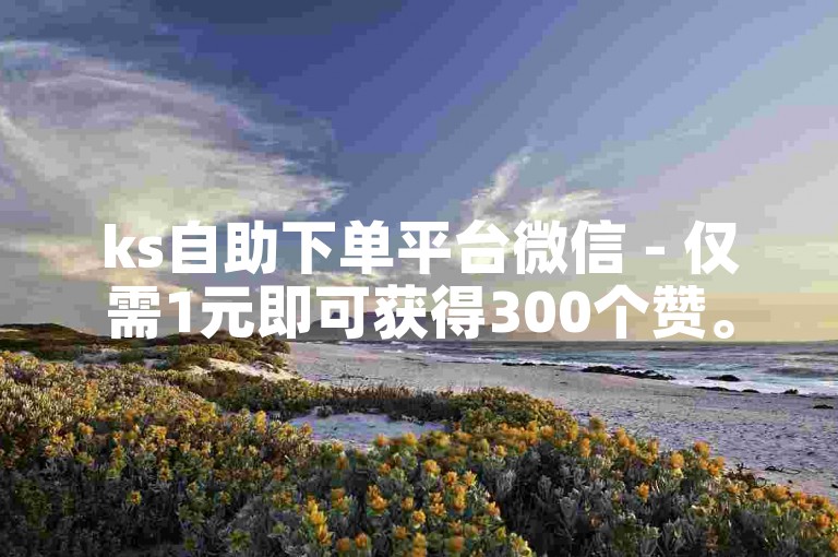 ks自助下单平台微信 - 仅需1元即可获得300个赞。