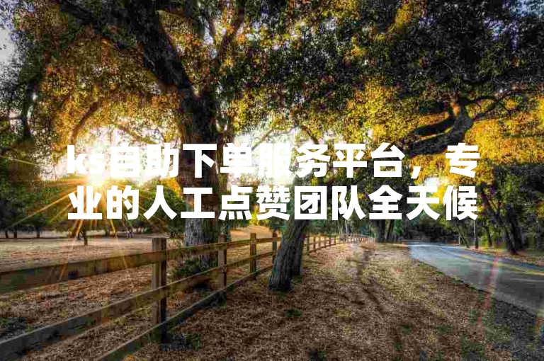 ks自助下单服务平台，专业的人工点赞团队全天候在线服务。