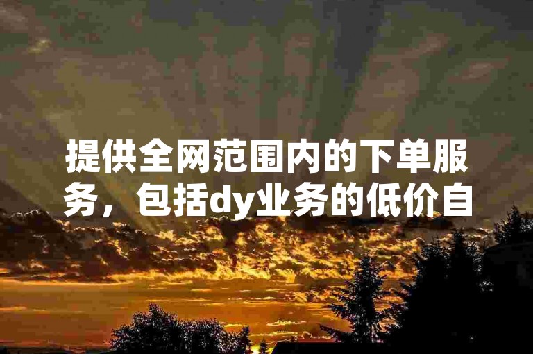 提供全网范围内的下单服务，包括dy业务的低价自助下单与转发功能。