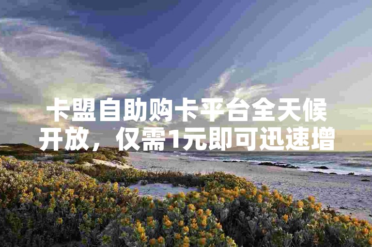 卡盟自助购卡平台全天候开放，仅需1元即可迅速增加1000粉丝。